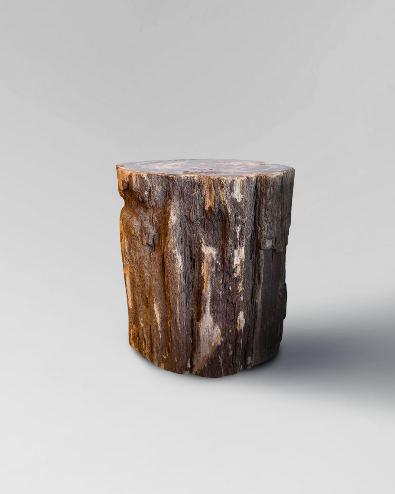 Petrified Stump 32