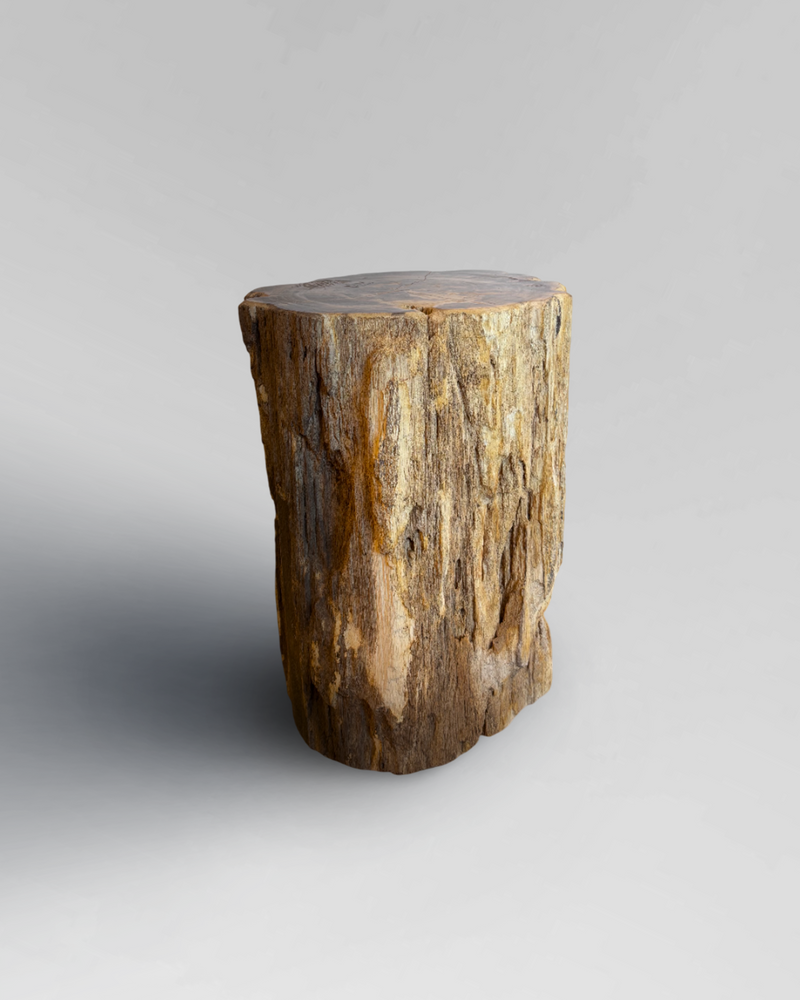 Petrified Stump 32