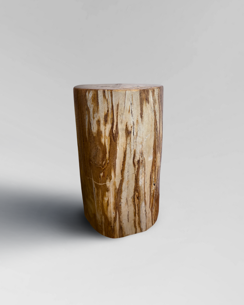 Petrified Stump 33