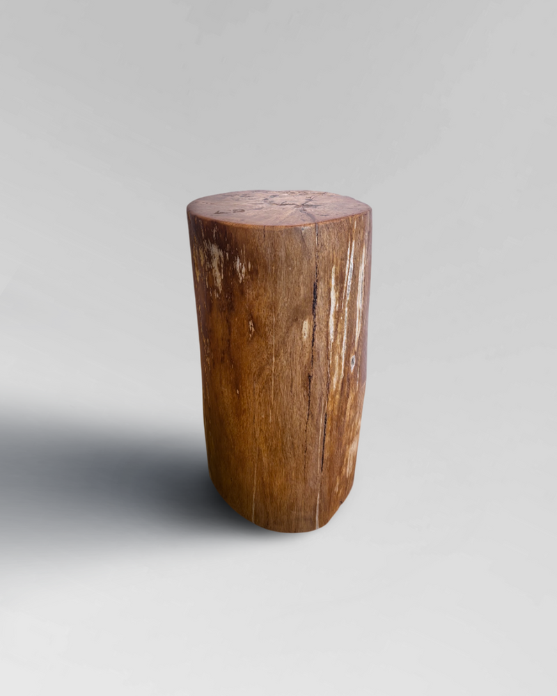 Petrified Stump 33