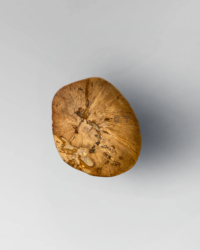 Petrified Stump 33
