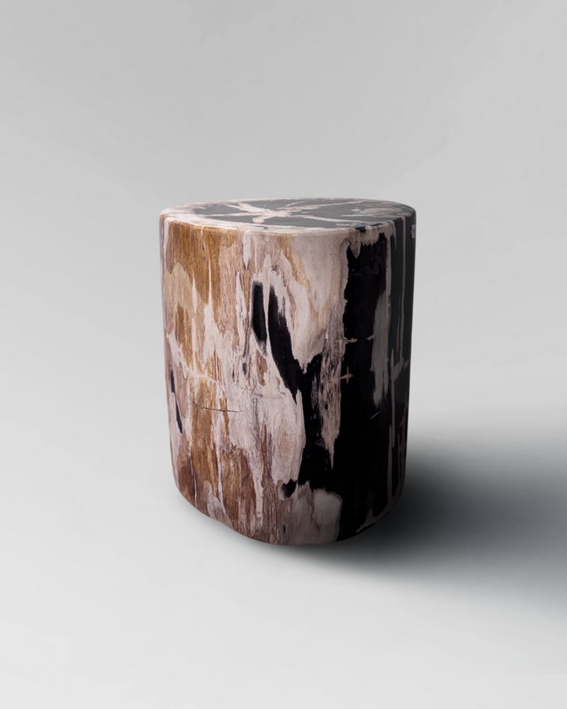 Petrified Stump 35