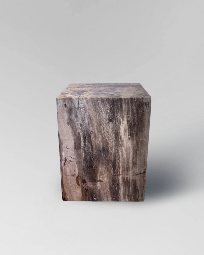 Petrified Side Table 1