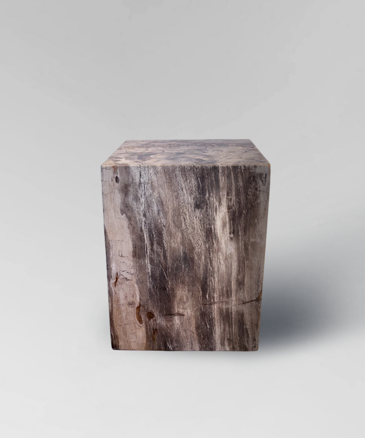 Petrified Side Table 1
