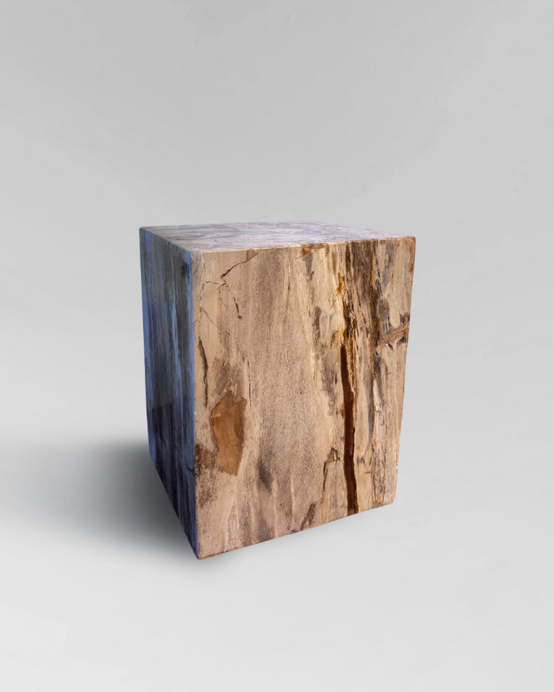 Petrified Side Table 1