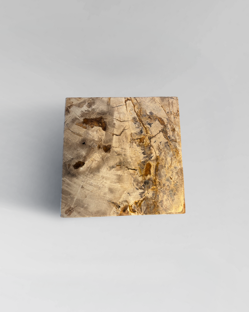 Petrified Side Table 1