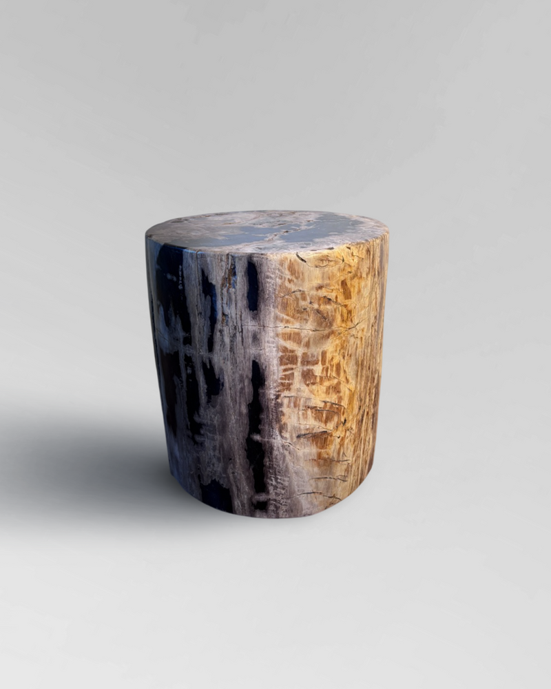 Petrified Stump 42