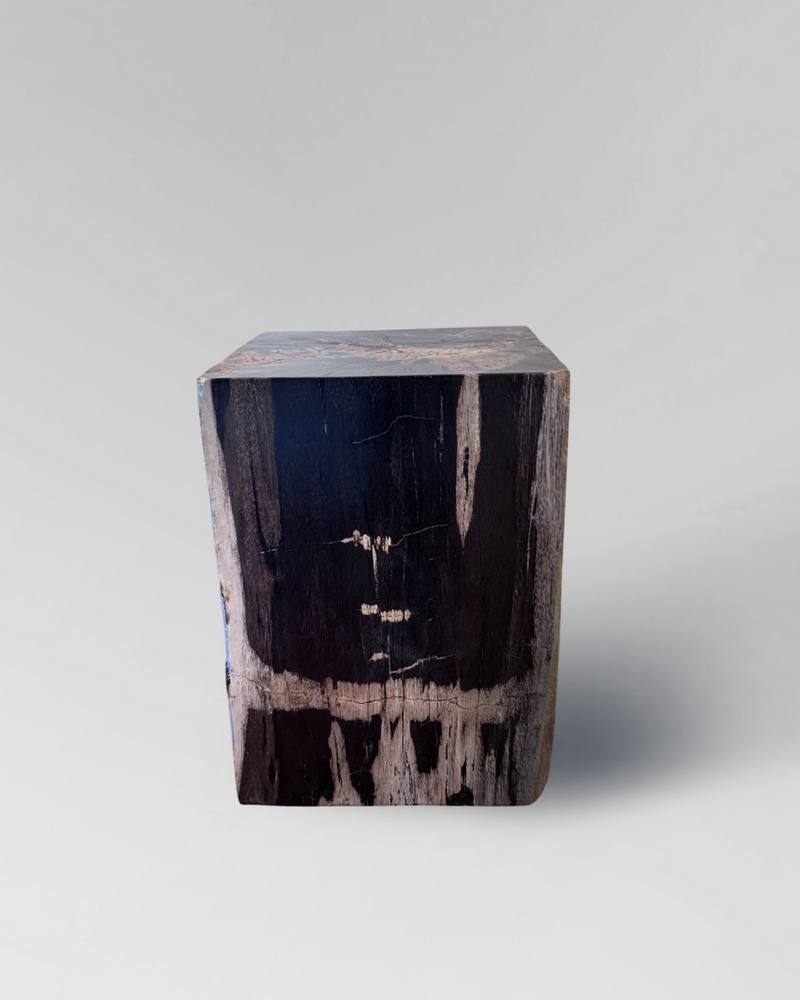 Petrified Side Table 2