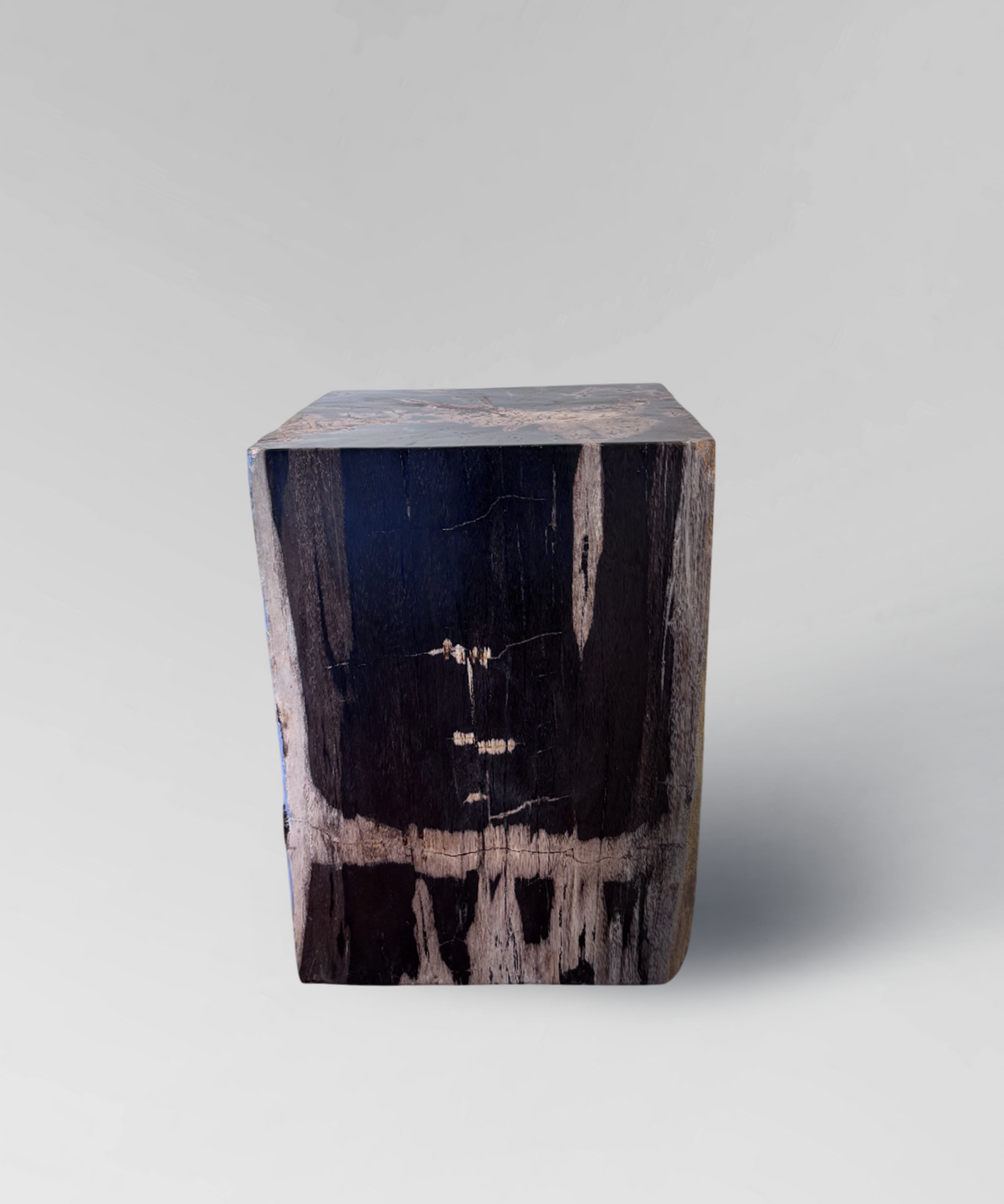 Petrified Side Table 2