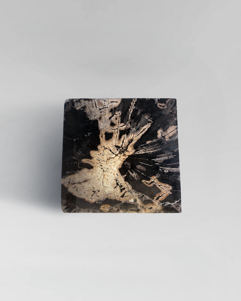 Petrified Side Table 2