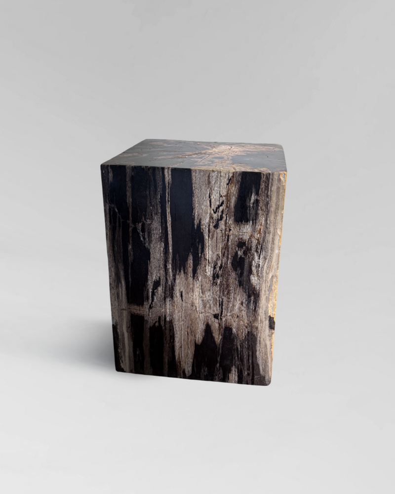 Petrified Side Table 2