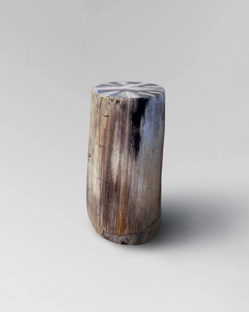 Petrified Stump 44