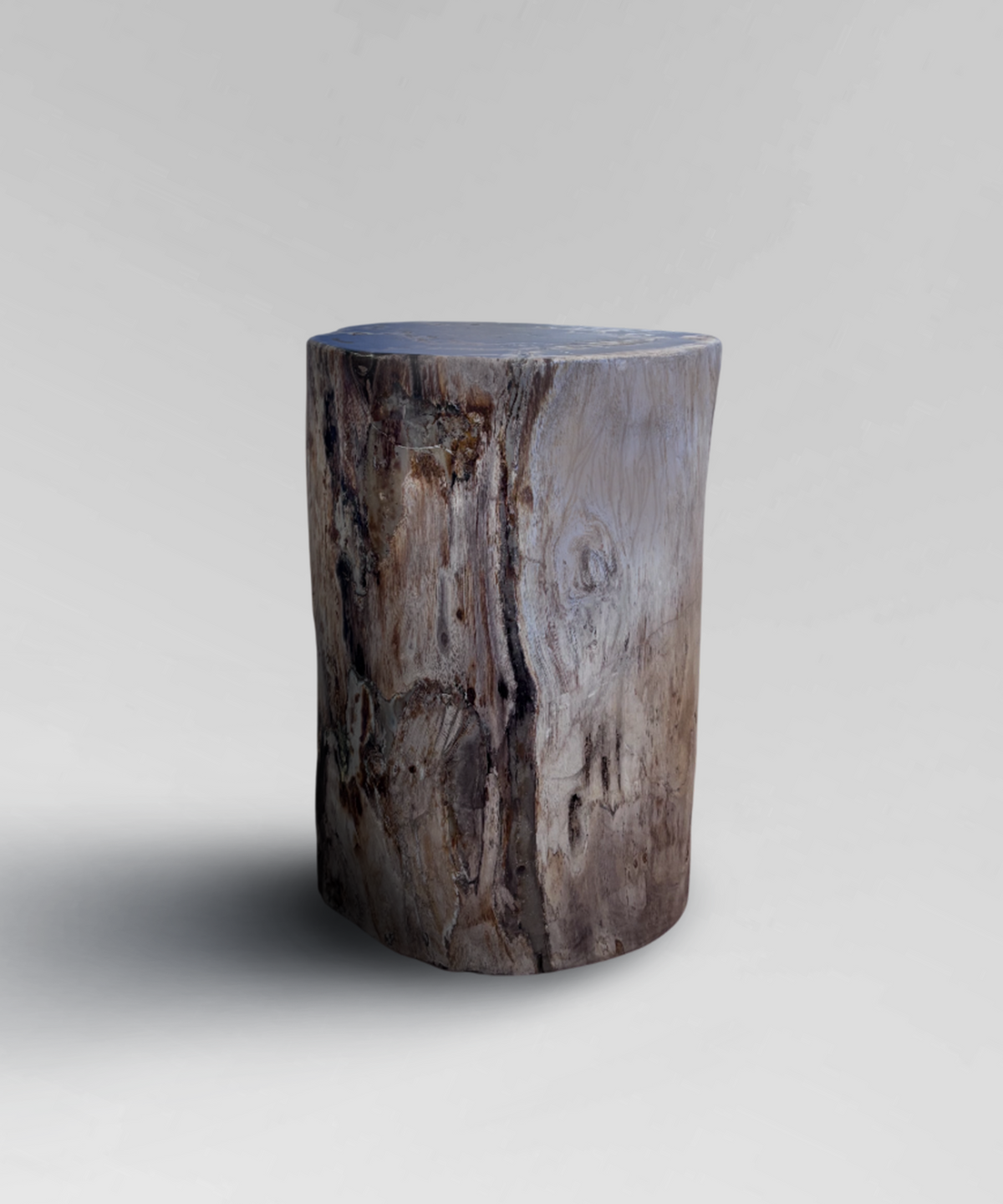 Petrified Stump 45