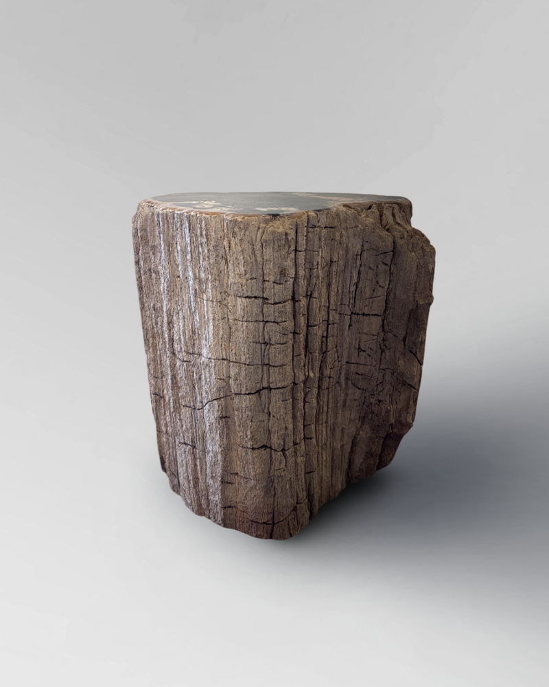 Petrified Stump 46