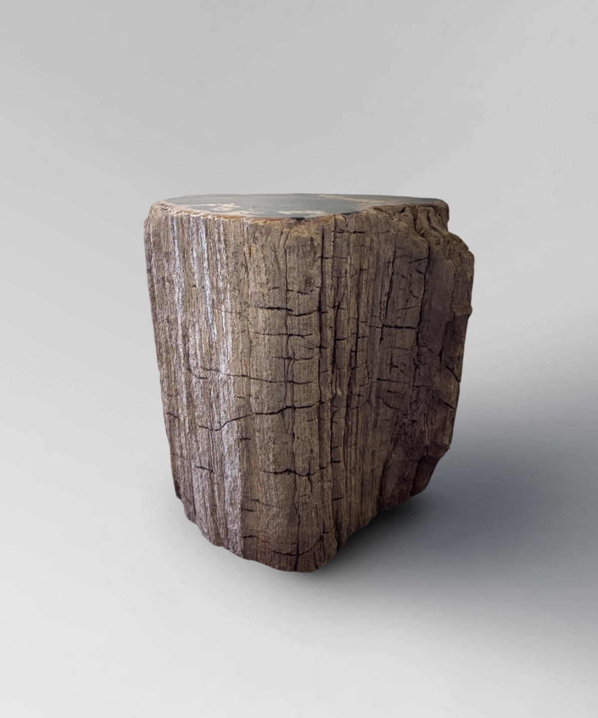 Petrified Stump 46