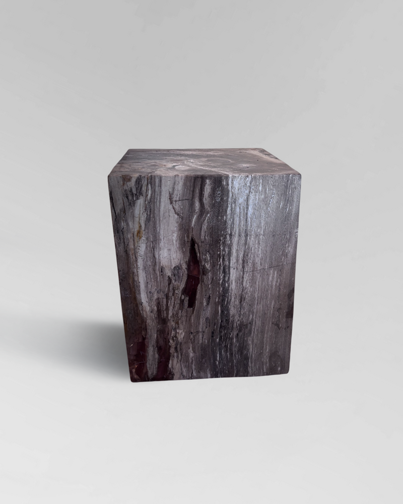 Petrified Side Table 3
