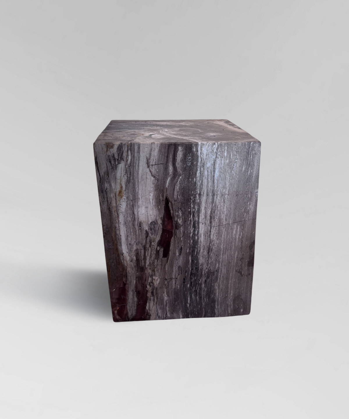 Petrified Side Table 3