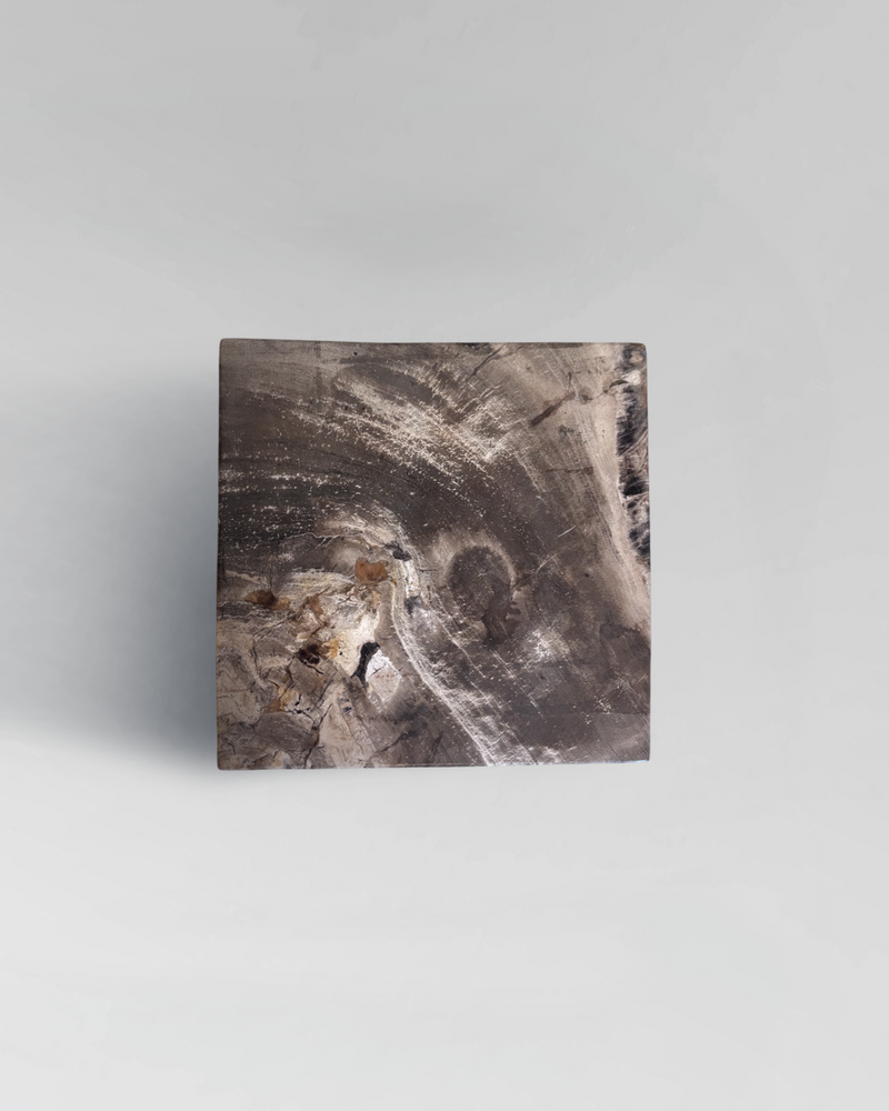 Petrified Side Table 3