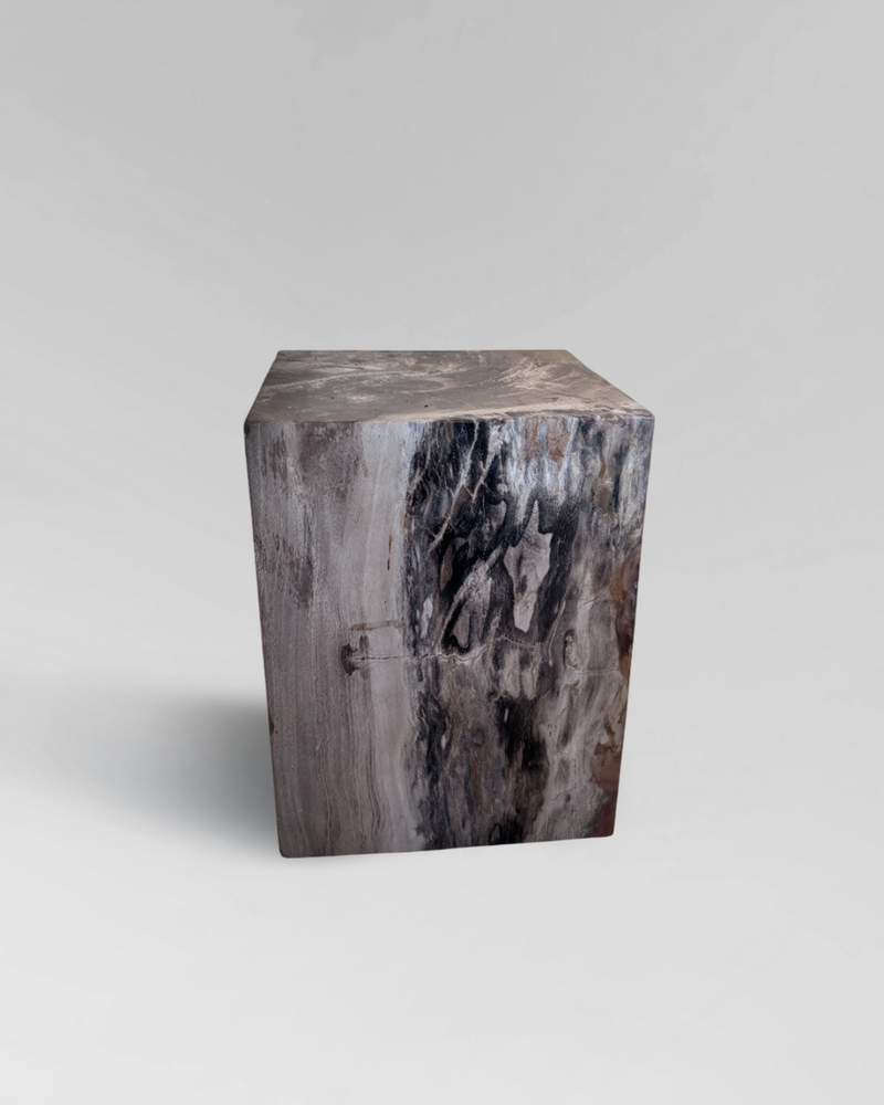 Petrified Side Table 3