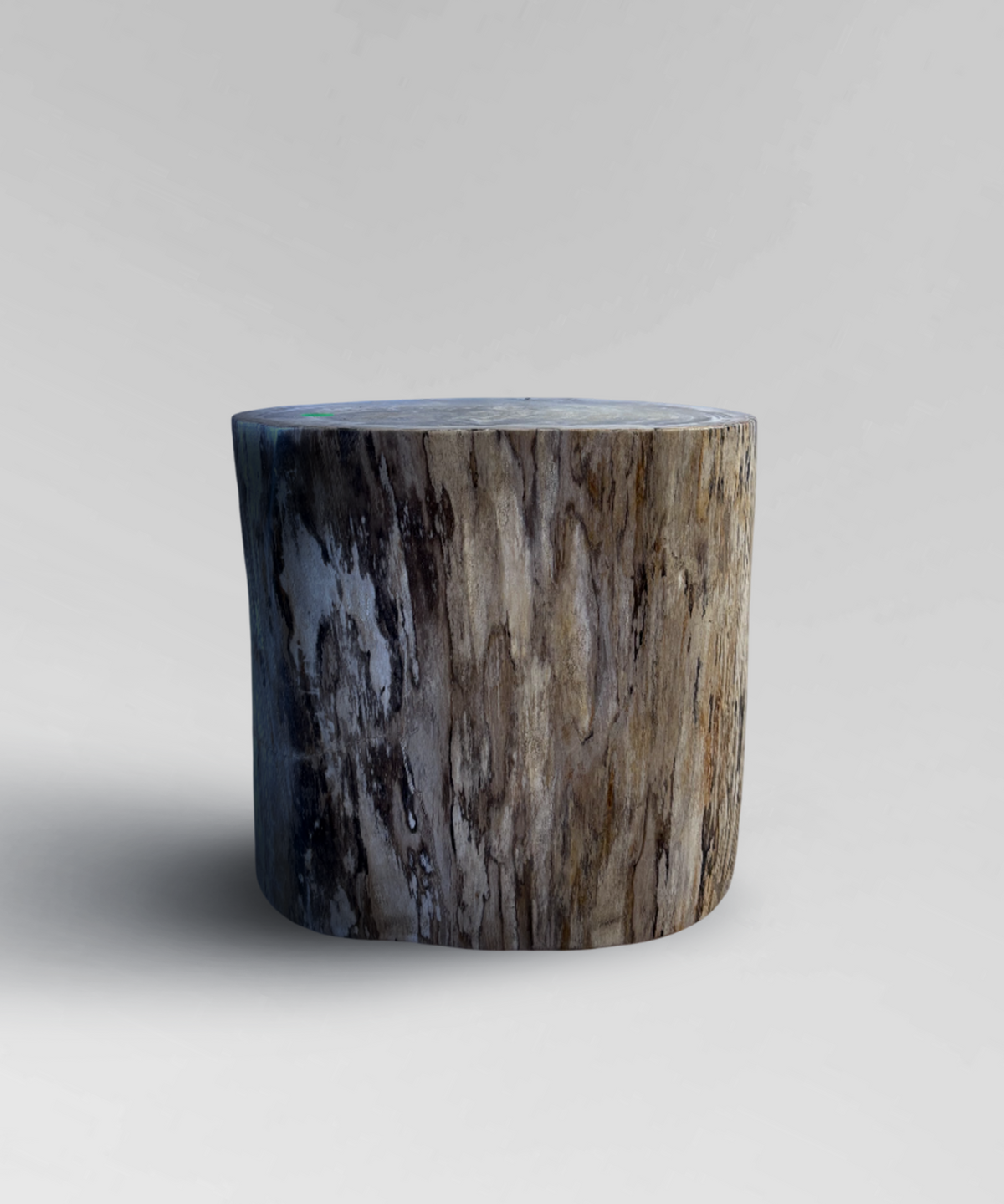 Petrified Stump 49
