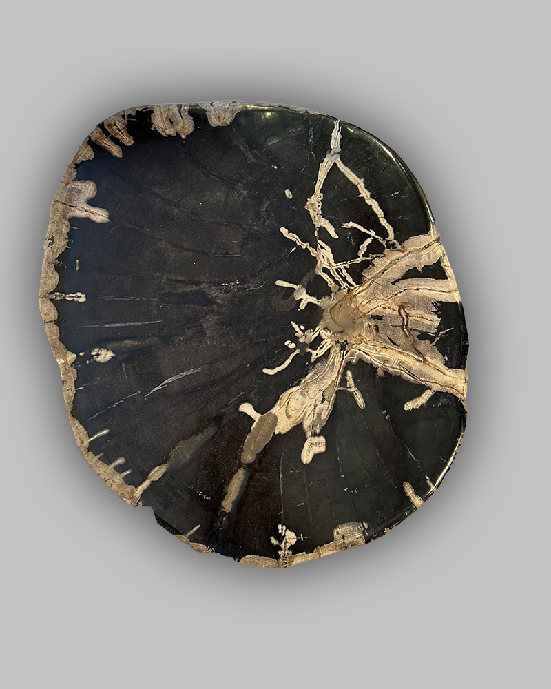 Petrified Stump 50