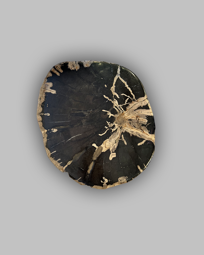 Petrified Stump 50