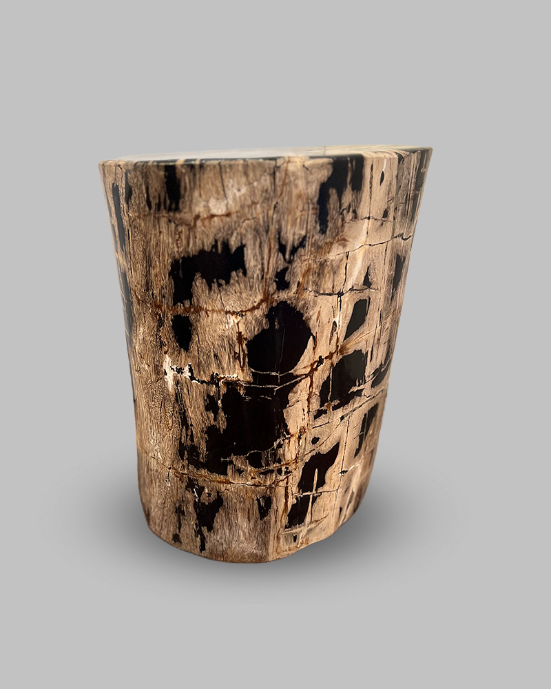 Petrified Stump 50