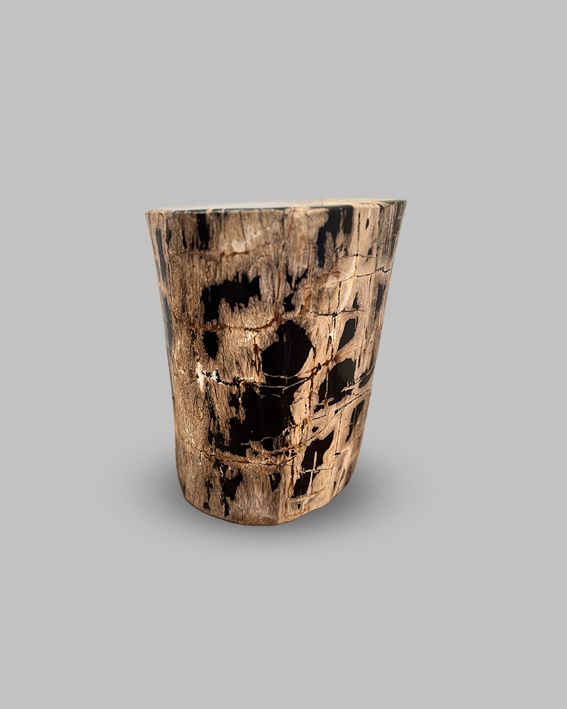 Petrified Stump 50