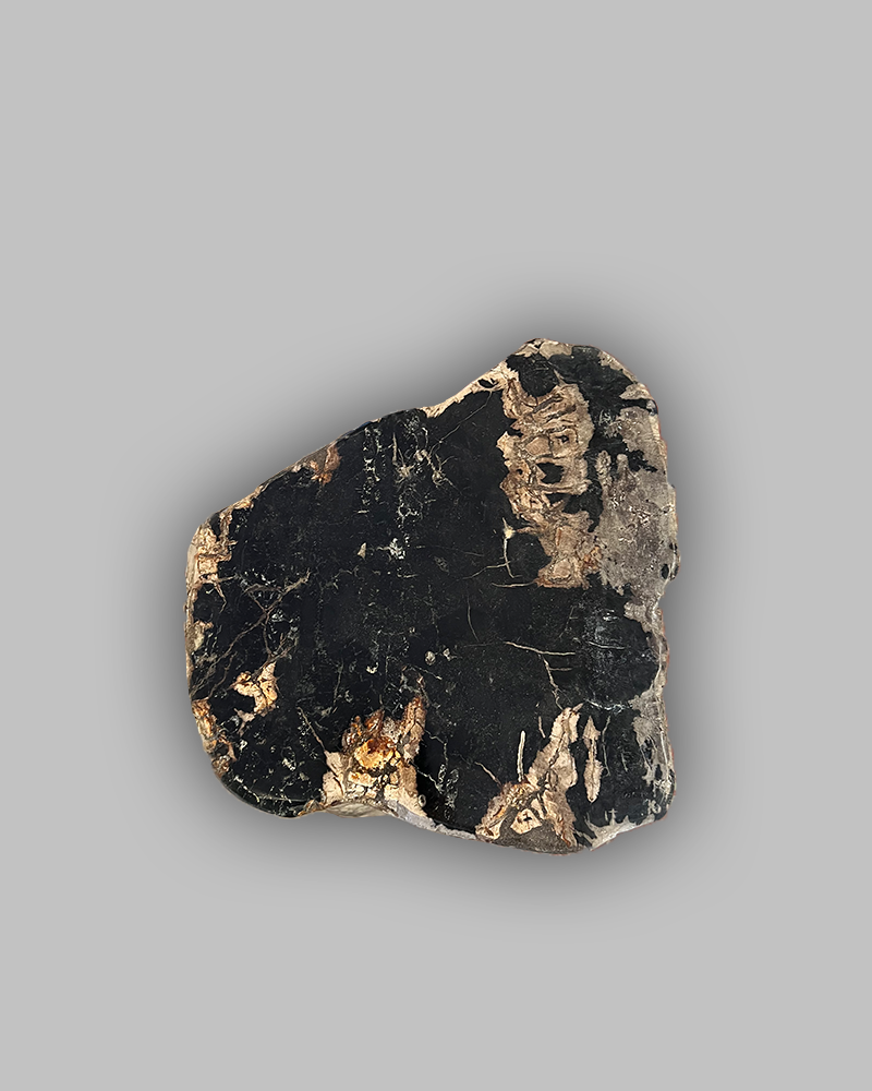 Petrified Stump 51