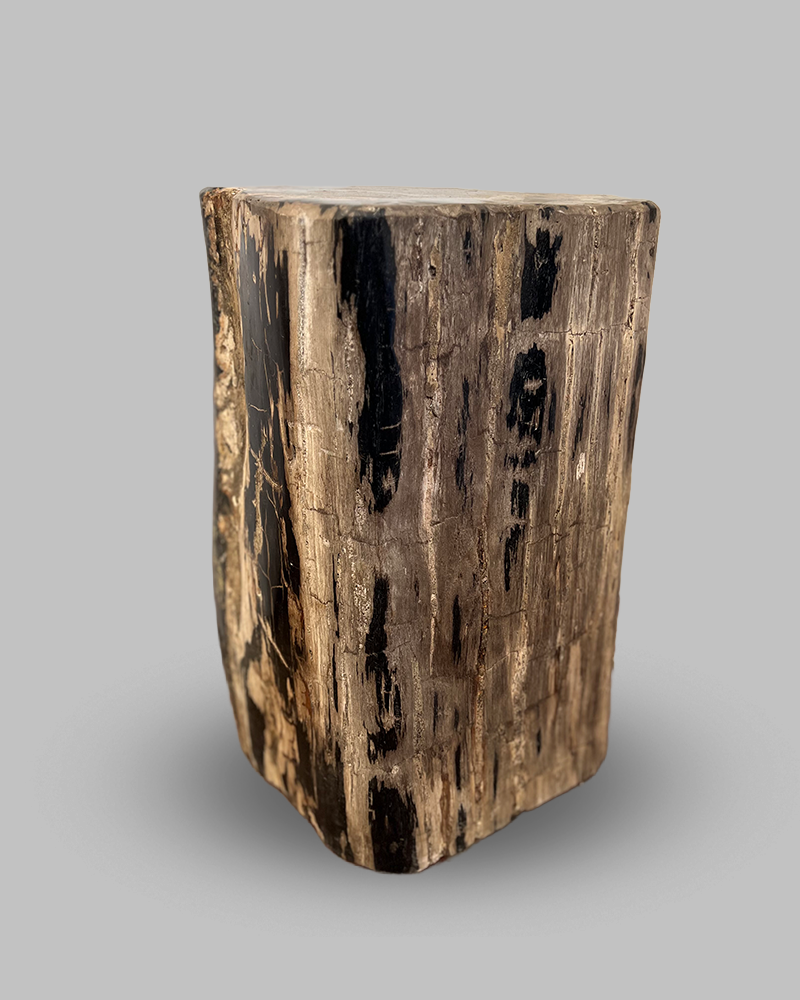Petrified Stump 51