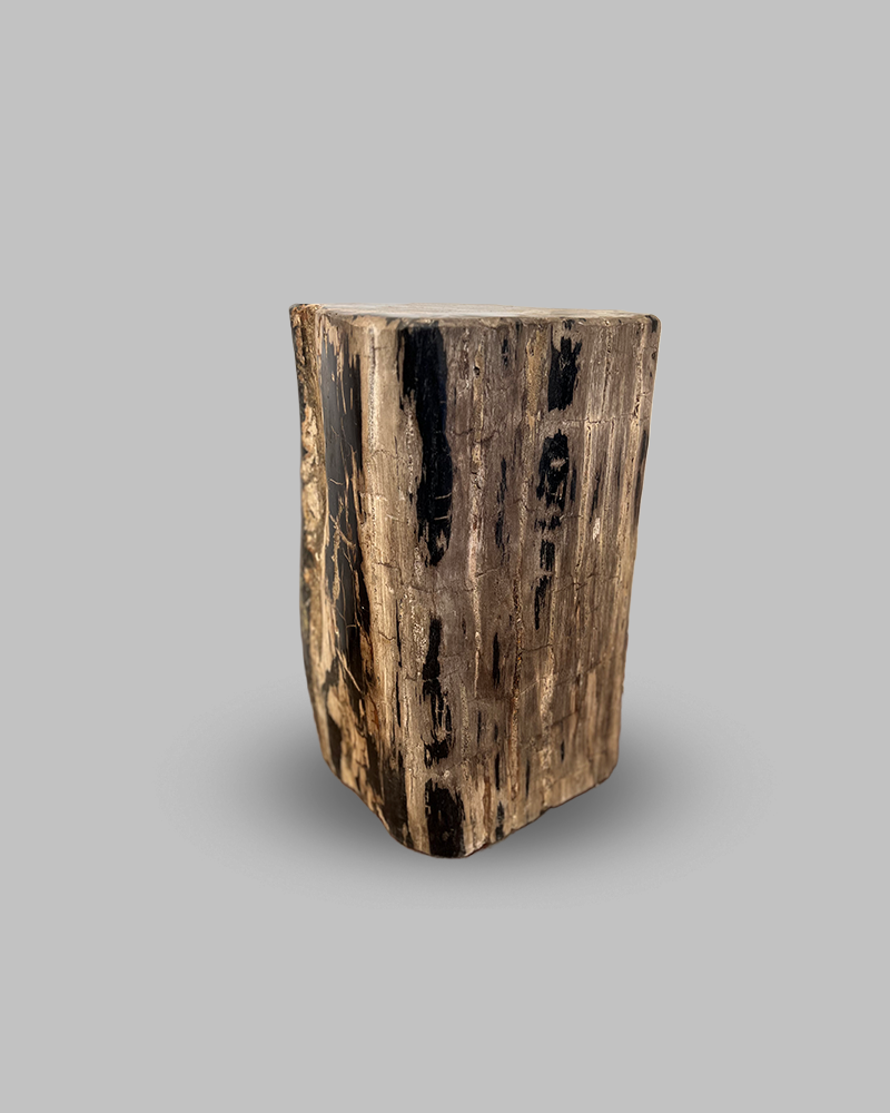 Petrified Stump 51