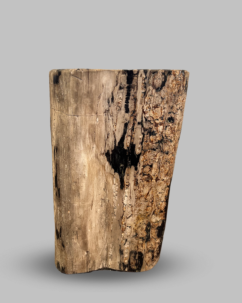 Petrified Stump 51