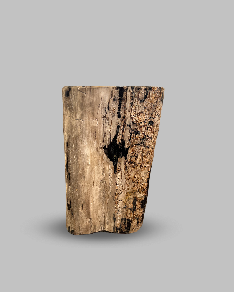 Petrified Stump 51