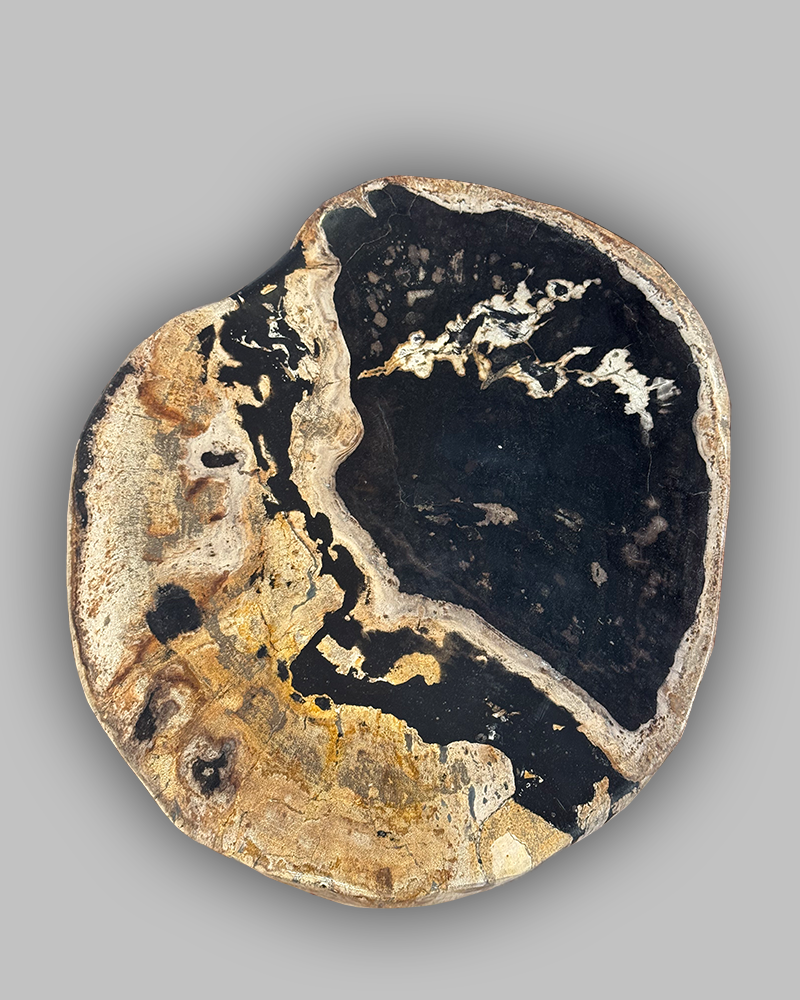Petrified Stump 52