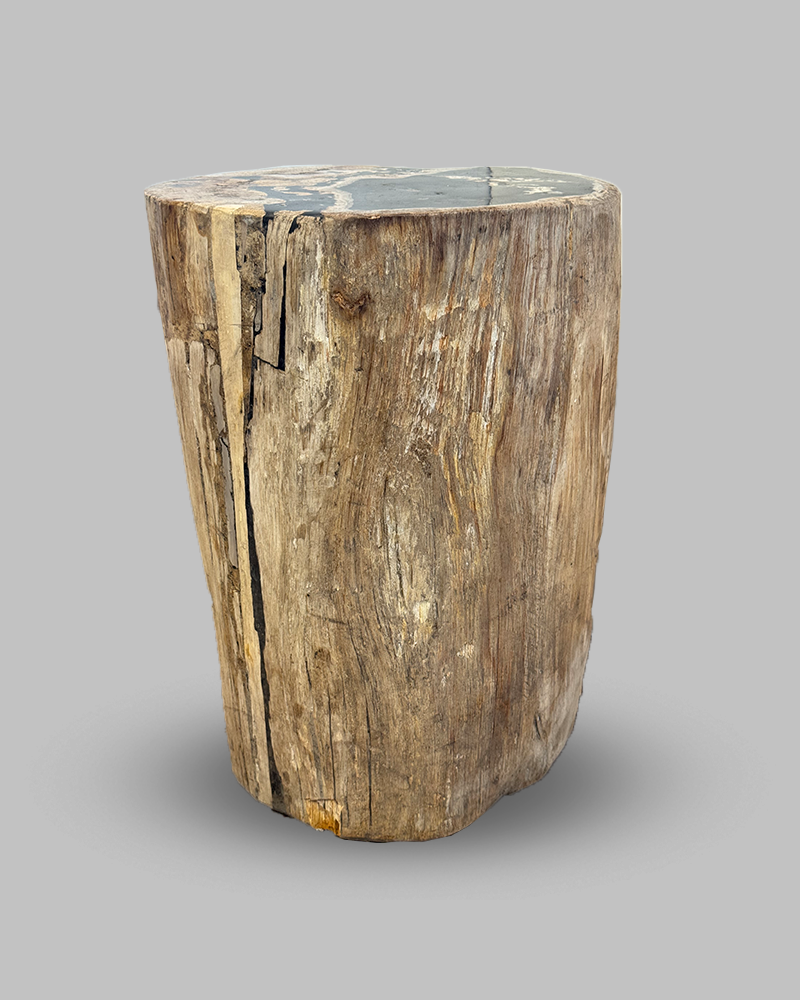 Petrified Stump 52