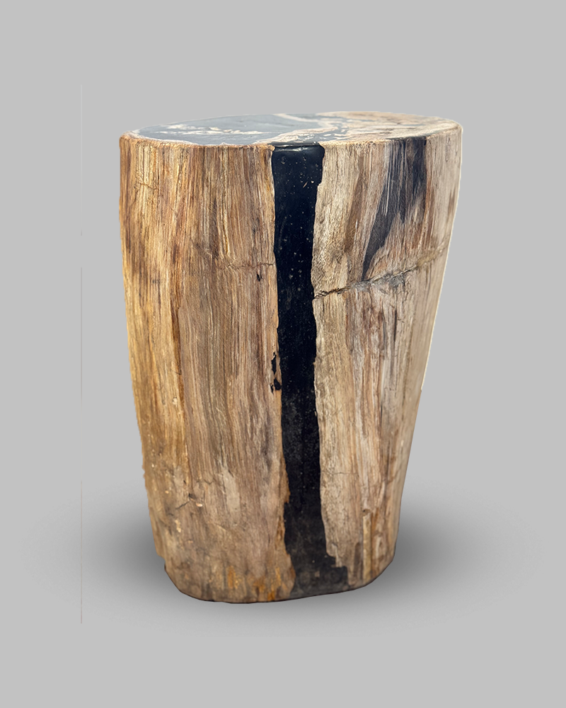 Petrified Stump 52