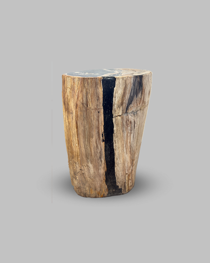 Petrified Stump 52
