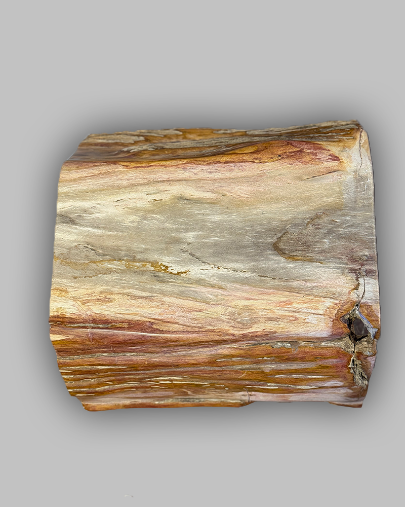 Petrified Stump 53