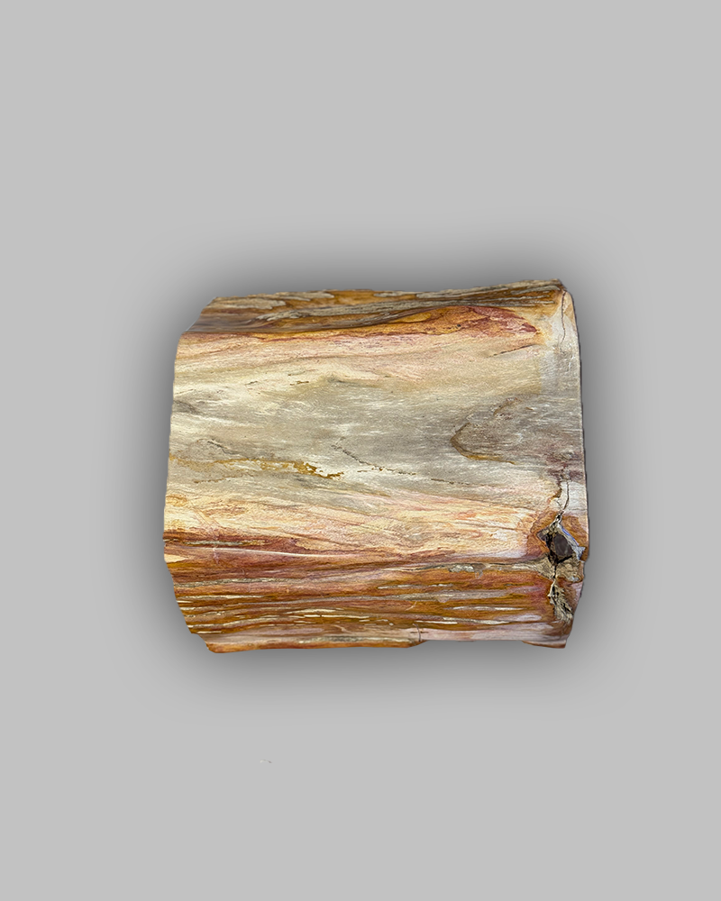 Petrified Stump 53