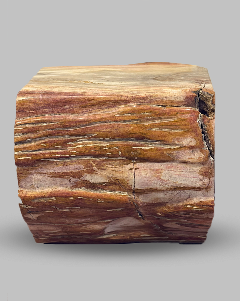 Petrified Stump 53