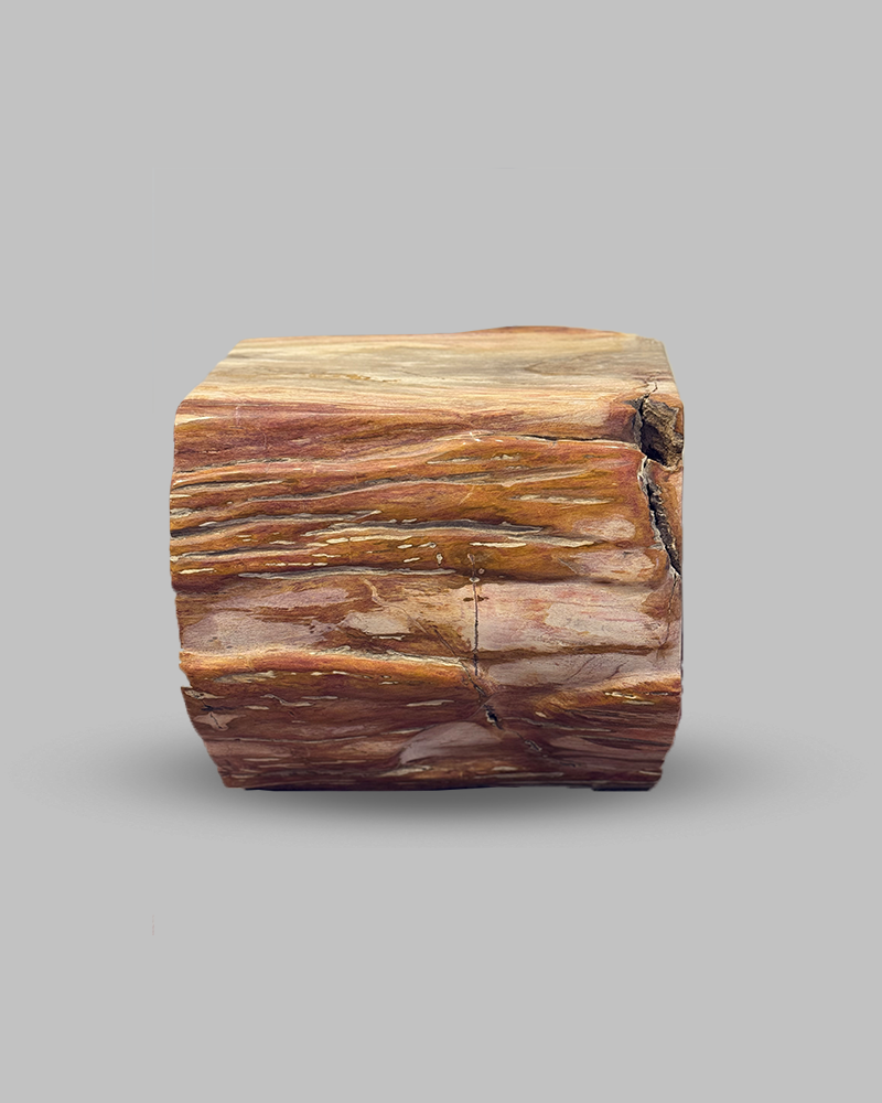 Petrified Stump 53