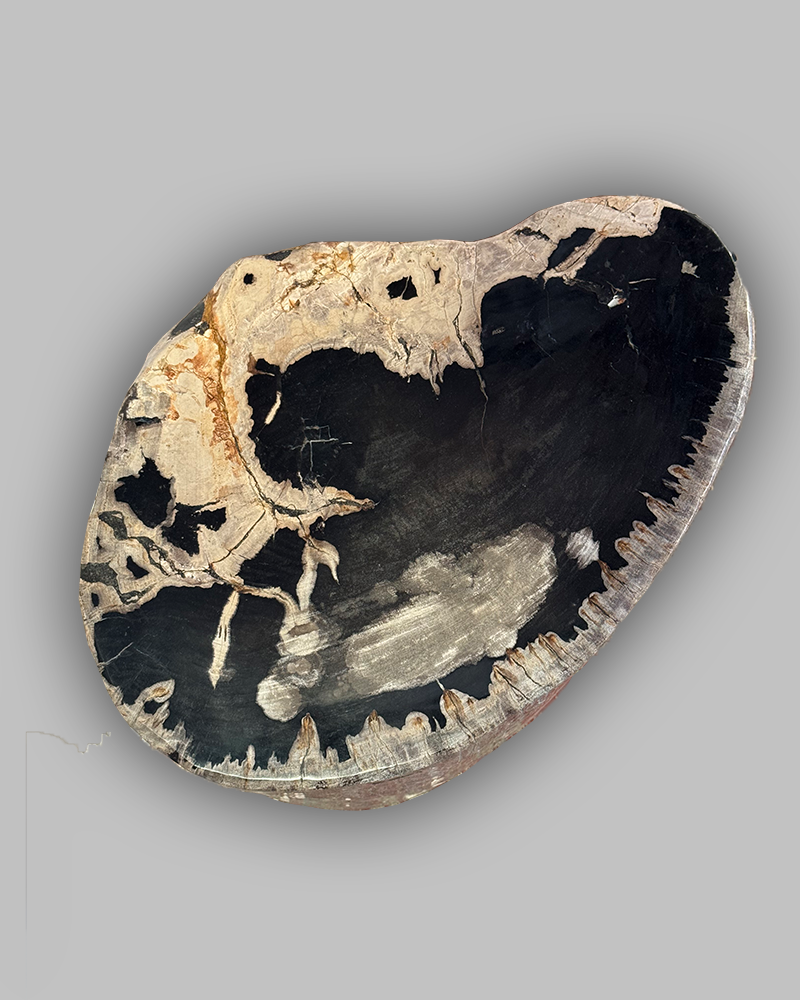 Petrified Stump 54