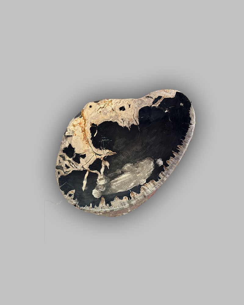 Petrified Stump 54