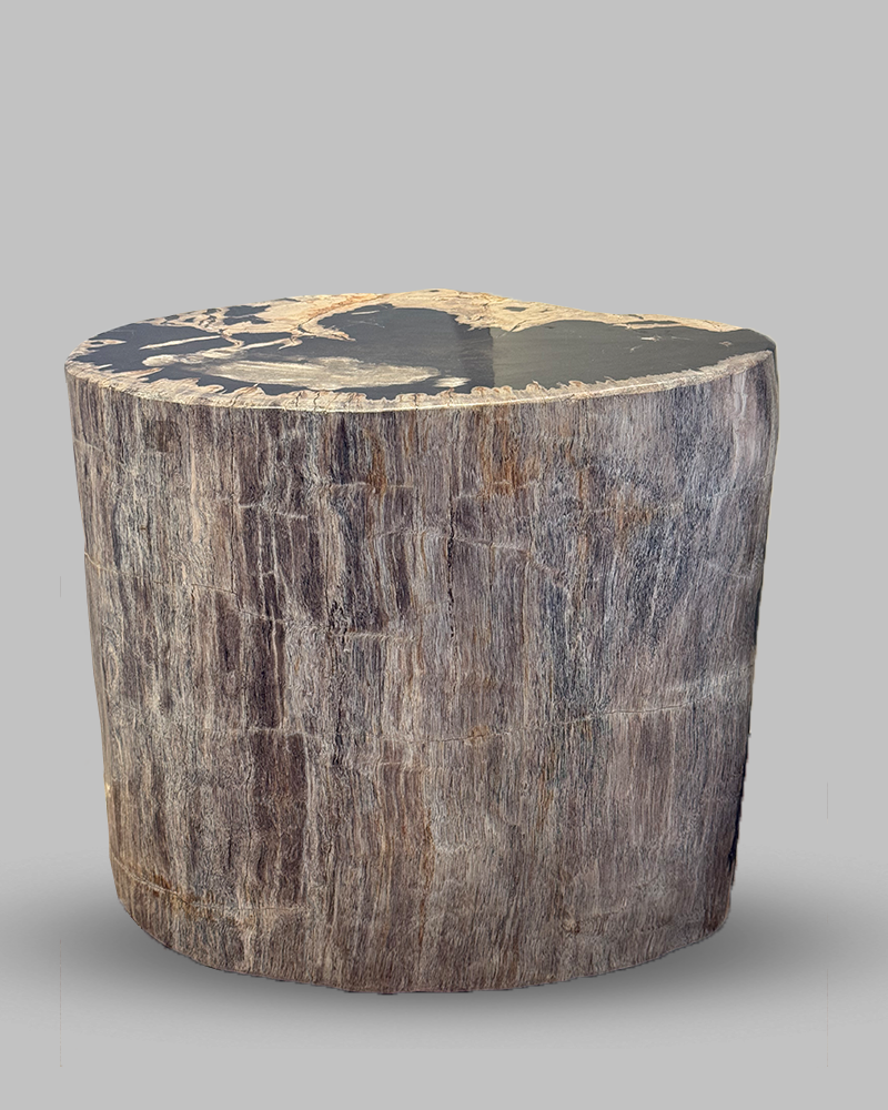 Petrified Stump 54