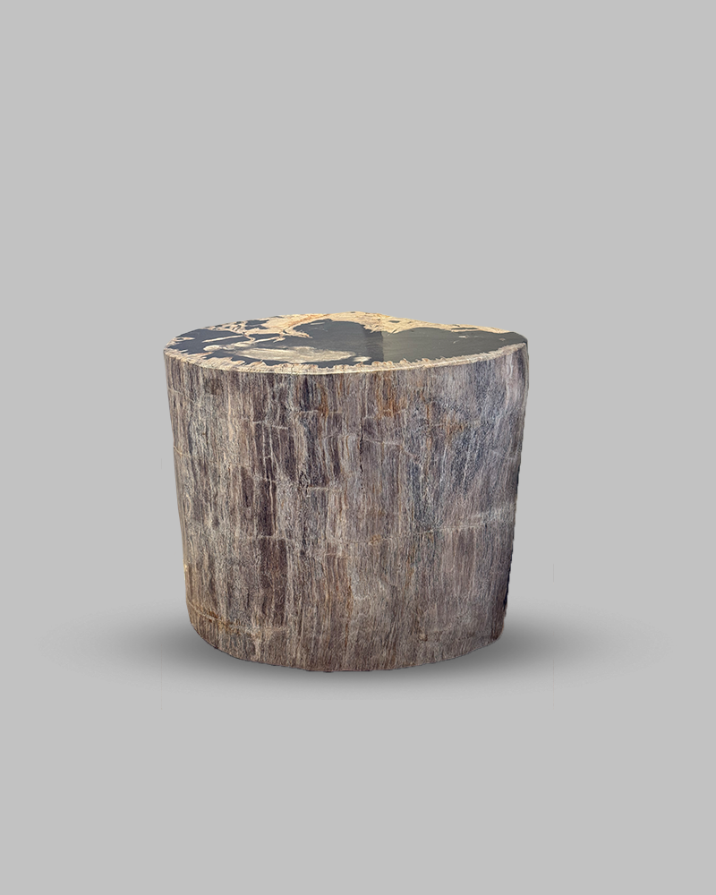Petrified Stump 54