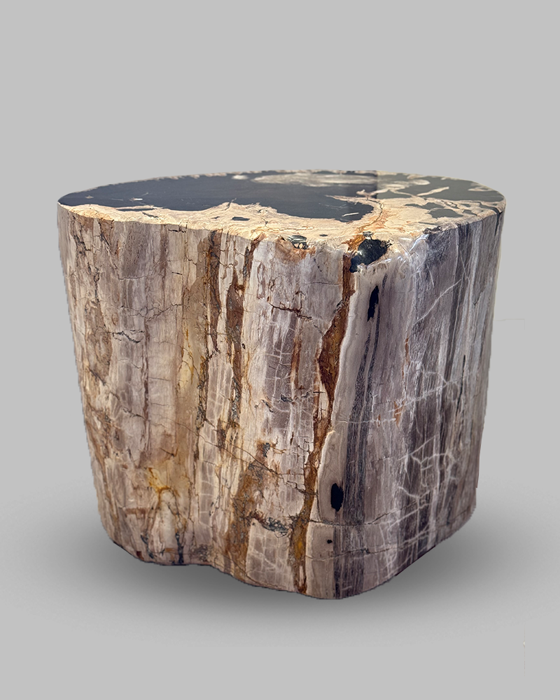 Petrified Stump 54