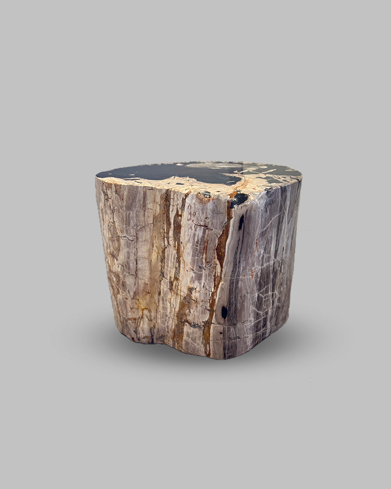 Petrified Stump 54
