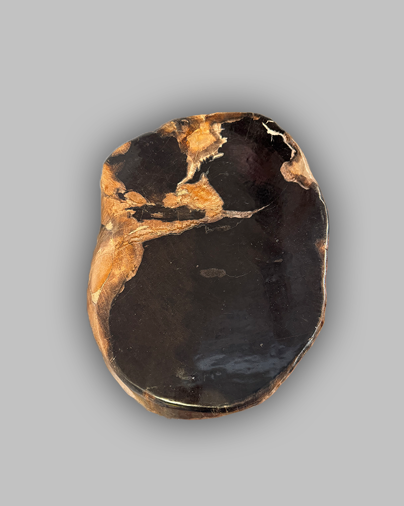 Petrified Stump 55