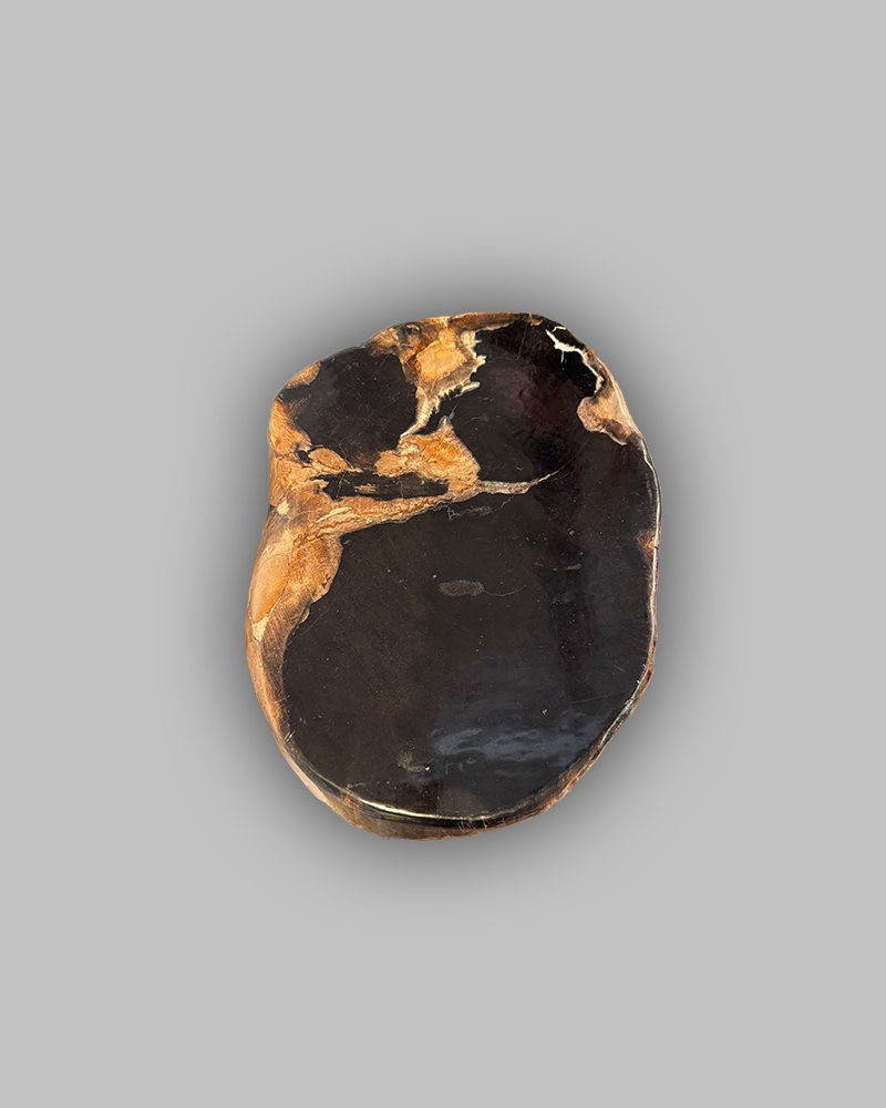 Petrified Stump 55