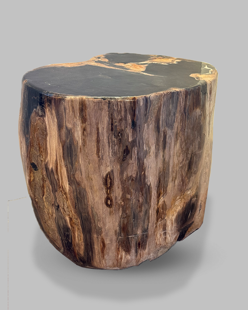 Petrified Stump 55